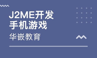 杭州J2ME手机游戏开发培训价格 软件开发培训哪家好 杭州华嵌教育 淘学培训